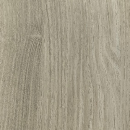 Акация - 23 (1600 мм)  